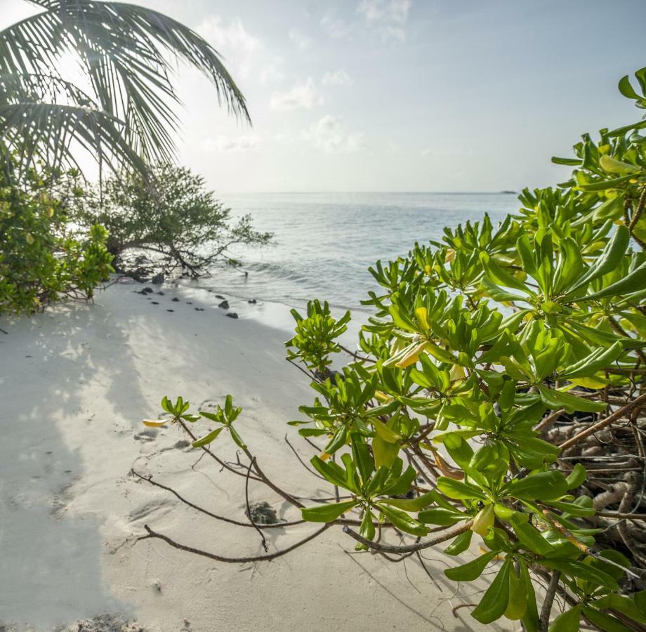 Portia Hotel & Spa Dhiffushi Exterior foto